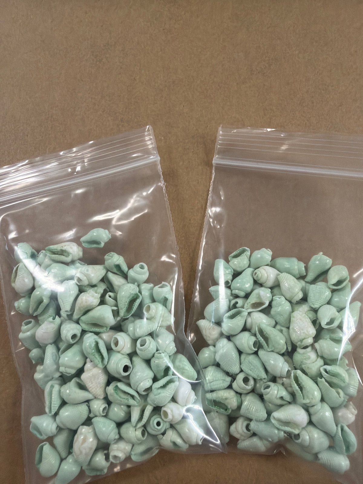 Mini Light Green Color Cone Shells .25-.5"