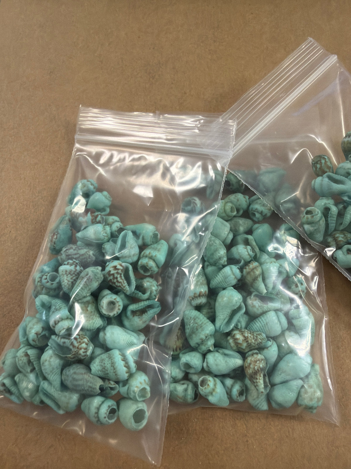 Mini Medium Green Color Cone Shells .25-.5"