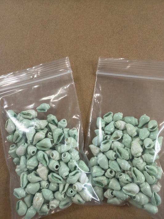Mini Light Green Color Cone Shells .25-.5"