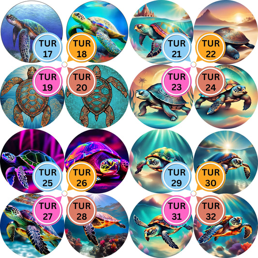 Turtle Themed Cabs - 2 INCH EPOXY STICKER (SINGLE)